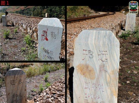 为年味“点睛”德清竹丝青龙龙灯再现