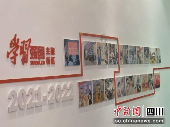野外生存游戏