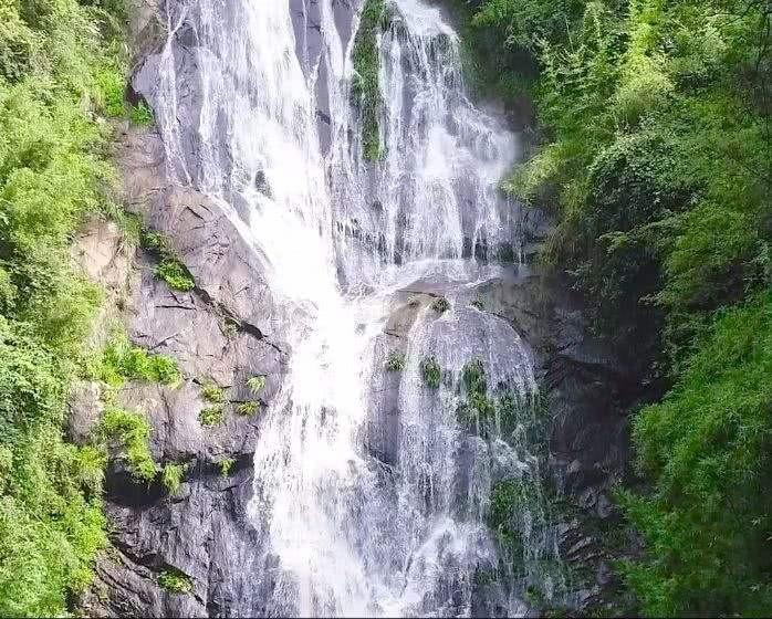 泰拉瑞亚