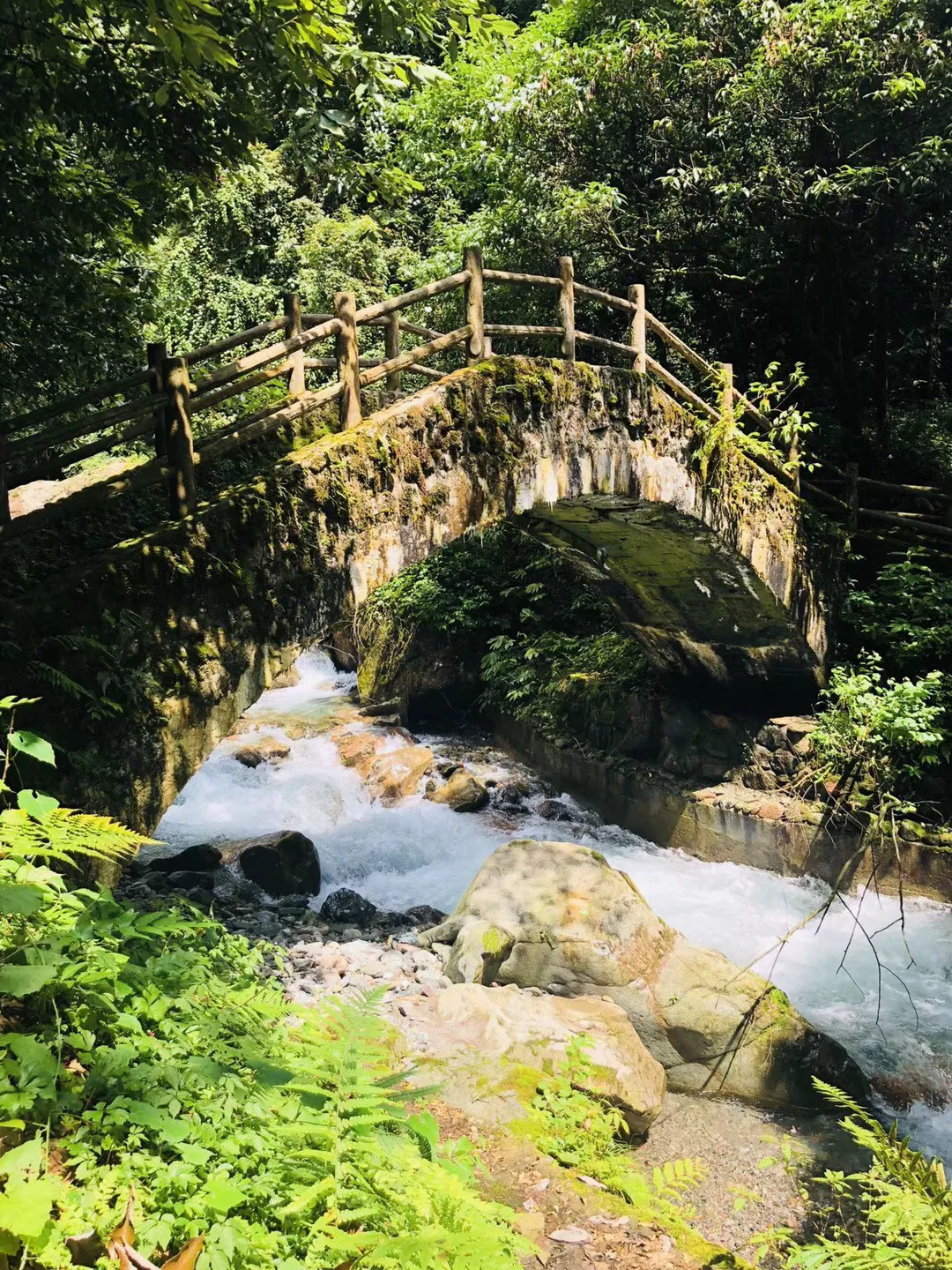 88影视