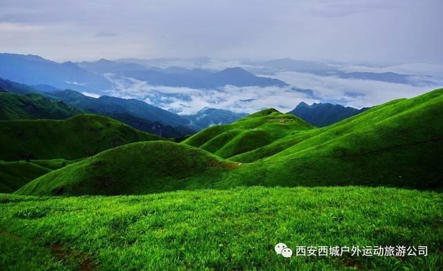 sql语句查询求助游戏画面