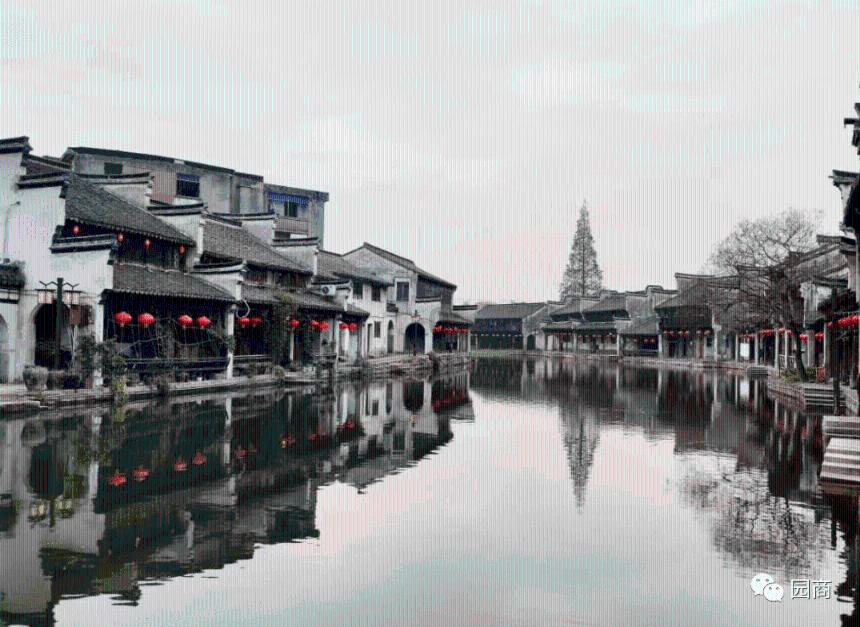 悬崖跳水运动