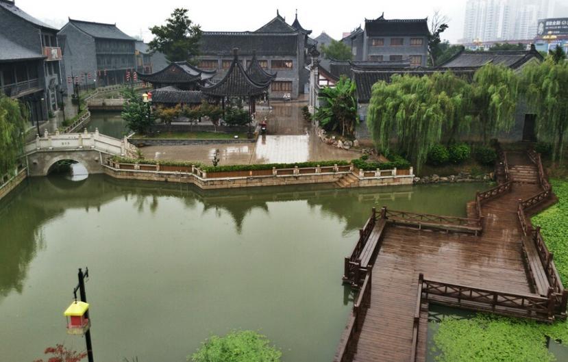 袋鼠逃生